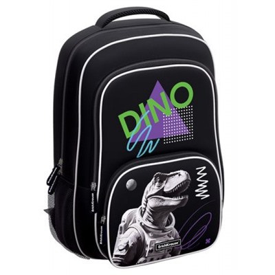 Рюкзак школьный "ErgoLine. Dino Hobby" 20L 44х33х22 см 62815 ErichKrause