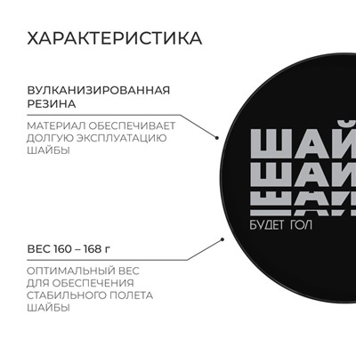 Шайба хоккейная Winter Star, взрослая, d=7.6 см