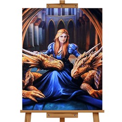 Мозаика алмазная "Принцесса драконов" 40*50см.