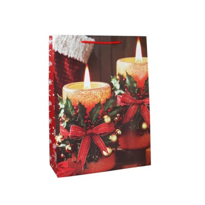 Пакет подарочный 31х42х12см Новый год / 5580ХL /уп 12/300/210 г