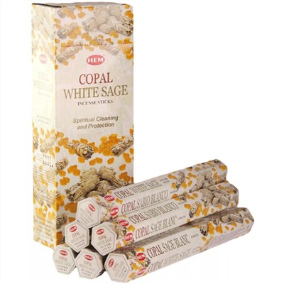 HEM Благовония шестигранник упаковка: Copal 6 уп.