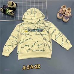 толстовка 1734561-4