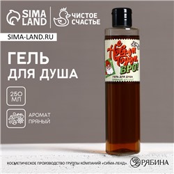 Гель для душа мужской «С Новым Годом, бро!», 250 мл, аромат пряный, Чистое счастье