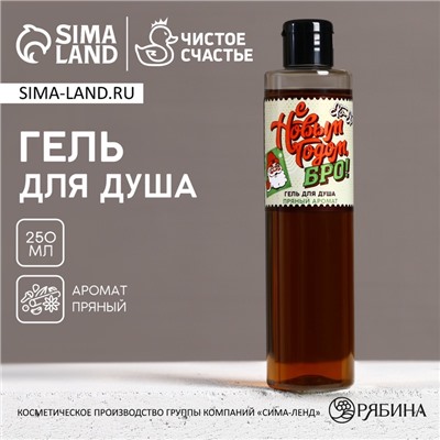 Гель для душа мужской «С Новым Годом, бро!», 250 мл, аромат пряный, Чистое счастье