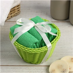 Салфетки махровые декоративные «Этель. Вид 1», 3 шт., 30×30 см, хлопок 100%, зелёные