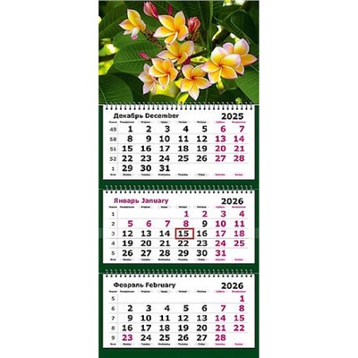 Календарь квартальный 2026г. 3 спирали СТАНДАРТ "Тропический цветок" 3-х блоч. с бегунком 13с14-305 Полином