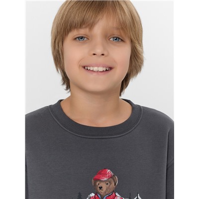 СВИТШОТ ДЛЯ МАЛЬЧИКОВ 123431/1