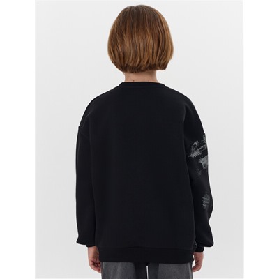 СВИТШОТ ДЛЯ МАЛЬЧИКОВ 123447