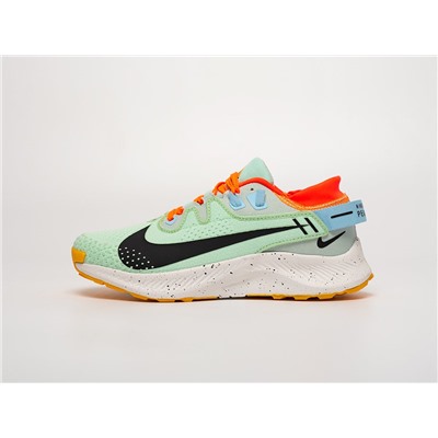 Кроссовки Nike Pegasus Trail 2
