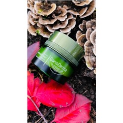 Дневной крем для лица с эффектом биоармирования кожи GanoDerma 50+