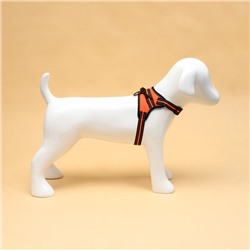 Шлейка улучшенная К7, размер S, ОГ 44-55 см, вес 5-9 кг, мягкая, светоотражающая, оранжевая