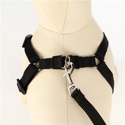 Шлейка с поводком «Базис», 32-46×1.5 с, поводок 120×1.5 см, чёрная