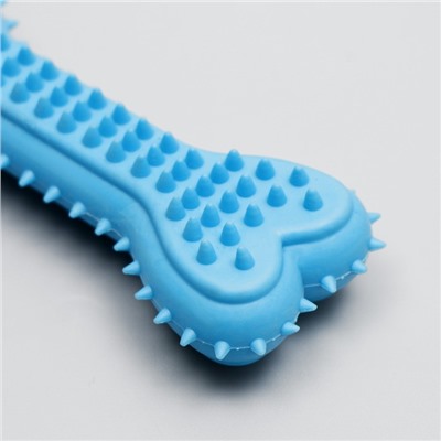 Жевательная игрушка для собак литая «Кость для массажа», 11×4×2 см, голубая