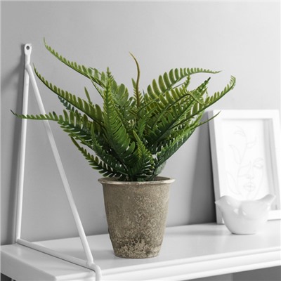 Искусственный цветок в горшке «Нефролепис премиум», 24×8.5 см, МИКС