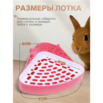 Туалет угловой для кроликов и хорьков, 24×18×11 см, красный