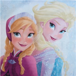 Пододеяльник 1.5-спальный «Этель. Принцессы и снеговик», 143×215 см, поплин