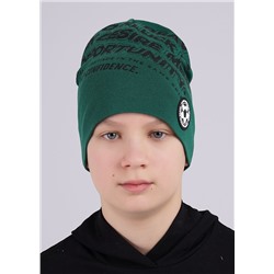 CLEVER Шапка