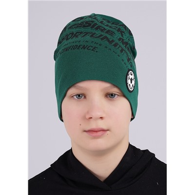 CLEVER Шапка