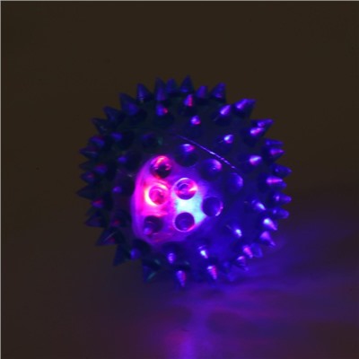 Мяч светящийся для собак средний, TPR, 5.5 см, голубой