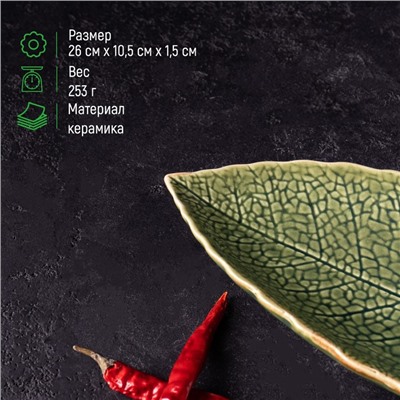 Блюдо керамическое сервировочное «Дендрарий», 26×10,5×1,5 см, цвет зелёный