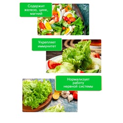 Семена Салат «Кучерявец Одесский», 0.5 г, «Рецепты дедушки Никиты»