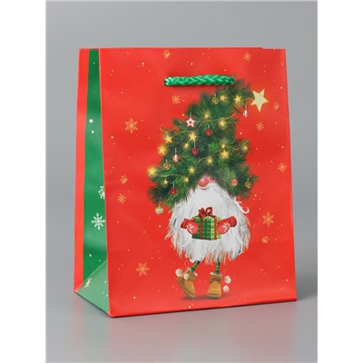 Пакет подарочный «Новогодний домовёнок», 11.5×14.5×6.5 см