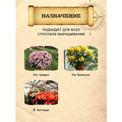 Грунт для Рододендронов PETER PEAT, линия «Хобби», 20 л