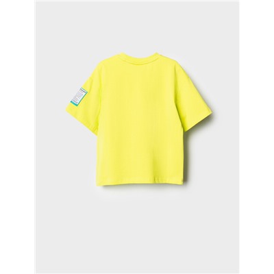 Фуфайка трикотажная для мальчиков (футболка)