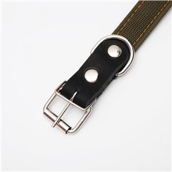 Ошейник брезентовый на фетре, 64×3 см, ОШ 30-55 см, тёмно-зелёный