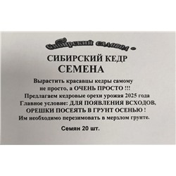 Кедр Сибирский (Код: 93418)