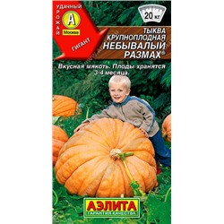 1040A Тыква крупноплодная Небывалый размах 2 г