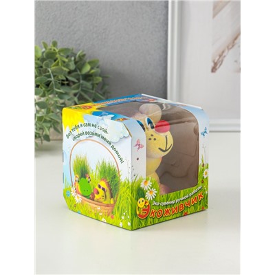 Набор для выращивания «ЭкоЖивчик. Медвежонок», фигурка растущая в подарочной упаковке