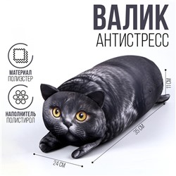Подушка антистресс кот «Британец»