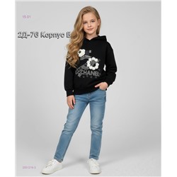 толстовка 2051219-3