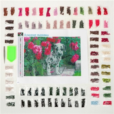 УЦЕНКА Алмазная вышивка «Далматинец» 22×32 см, холст, пинцет, ёмкость