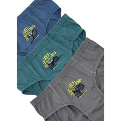 Трусы для мальчика Berrak