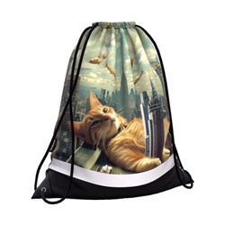 Сумка для сменной обуви 36,5х44 см Big City Cats 62844 ErichKrause