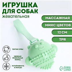Игрушка массажная для собак «Монстр» 12 см, ТПР, микс цветов