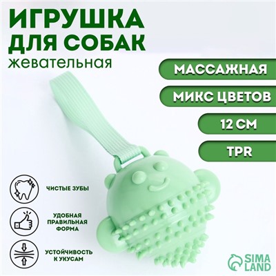 Игрушка массажная для собак «Монстр» 12 см, ТПР, микс цветов