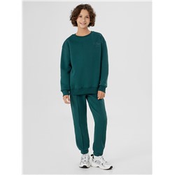 КОМПЛЕКТ ДЛЯ МАЛЬЧИКОВ (ДЖЕМПЕР, БРЮКИ) 393326