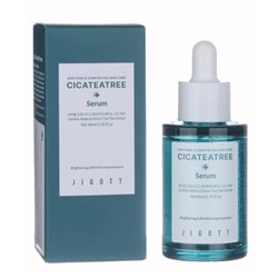 Jigott Сыворотка для лица с экстрактами центеллы азиатской и чайного дерева / Cicateatree Serum, 40 мл 25832