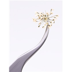 Сухоцветы для декора «Яркость», в футляре, МИКС