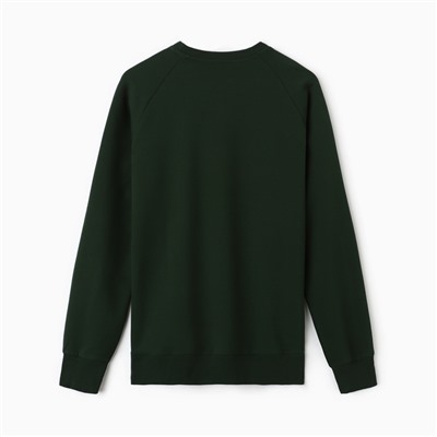 Толстовка мужская MIST Men's collection, размер 54, зелёная