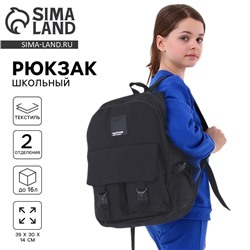 Рюкзак школьный 39×30×14 см Black