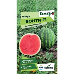 8041N Арбуз Бонта F1 5шт