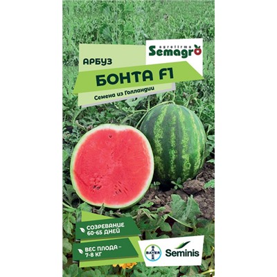 8041N Арбуз Бонта F1 5шт