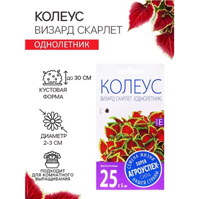 Семена Цветов Колеус «Визард Скарлет», 10 шт., «Агроуспех»