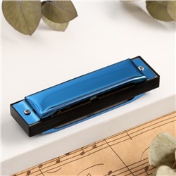 Губная гармошка Music Life T003 C диатоническая, 10 отверстий, с футляром, синяя
