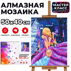 Мозаика алмазная "Ночная прогулка" 40*50см.