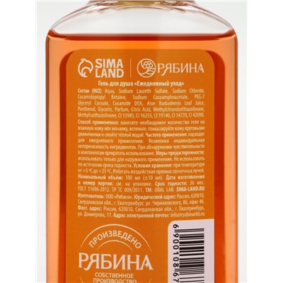 Подарочный набор новогодний: гель для душа 2 шт. × 100 мл, мочалка для тела, аромат мандарин и тыква, URAL LAB